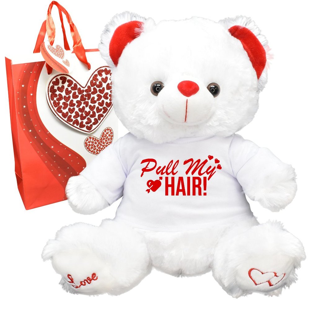 Hair Valentines Teddy Bear Gift Bag Girl Friend